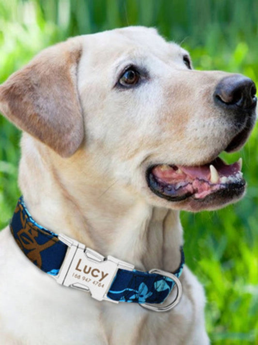 KFX-5910845 Durable Adjustable Dog Collar for Small, Medium, and Large Breeds