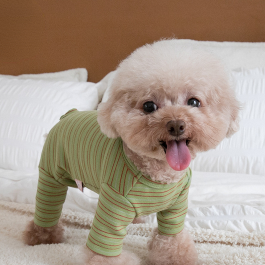 KFX-5924669 Fashion Minimalist Striped Pet Dog Clothing in Apricot, Orange, and Green