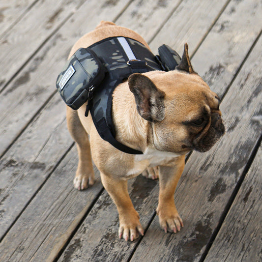 KFX-5946813 Multi-Function Portable Pet Backpack with Leash for Stylish Adventures