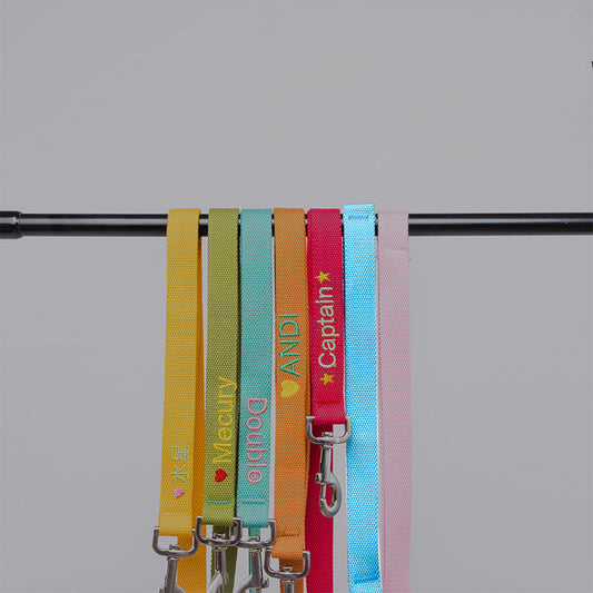 KFX-5968573 Short Leg 120cm Dog Leash in Various Colors