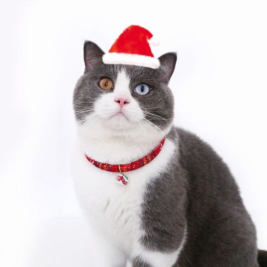 KFX-6005309 Adjustable Pet Collar with Christmas Gloves and Bell Pendant
