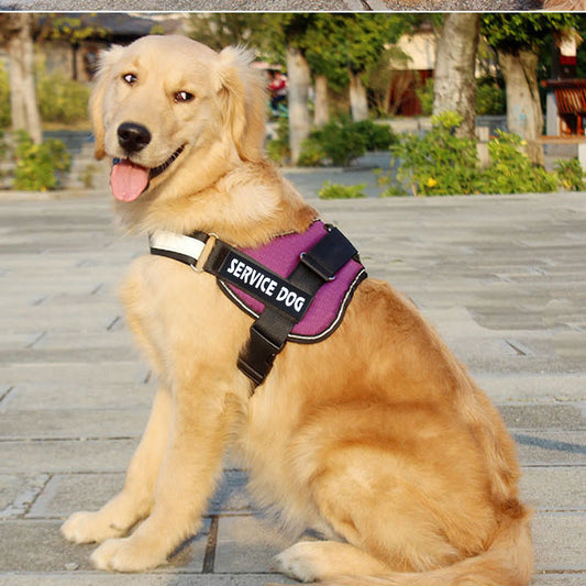 KFX-6006589 Adjustable Cloth Dog Harness with Leash - Available in Blue, Black, Red, Purple, Sizes S to XL