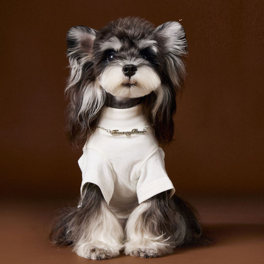 KFX-6030141 Handsome Teddy Schnauzer Bear Solid Color Bottom Shirt with Necklace for Pets