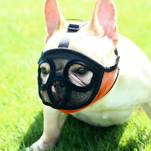 KFX-6039741 Breathable Dog Muzzle for Small Breeds - Adjustable and Comfortable for Barking Prevention and Safety