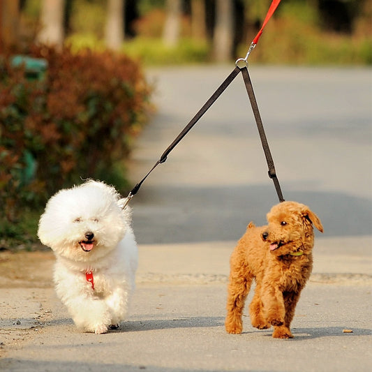 KFX-6045629 Double Dog Walking Leash Coupler - Nylon, Adjustable Lengths in Purple, Red, Blue, Black