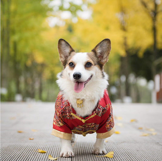 KFX-6065469 Cotton Dog Tang Dress for Celebrating Special Occasions, Sizes 14-22