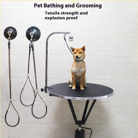 KFX-6099645 Pet Bath Steel Wire Rope with Suction Cup – Single and Double Options Available