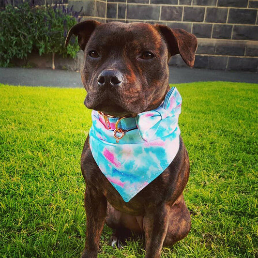 KFX-6103229 Double Printed Cotton Triangle Scarf for Dogs - Available in Three Sizes