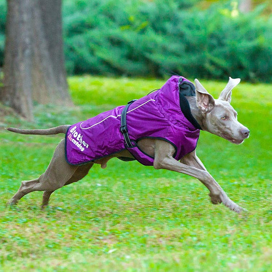 KFX-6103997 Waterproof and Reflective Nylon Pet Rain Jacket for Outdoor Use