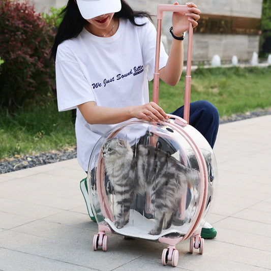 KFX-6113597 Transparent Portable Trolley Case for Cats and Small Dogs – Reinforced PC and Aluminum Alloy, Hard Shell Design