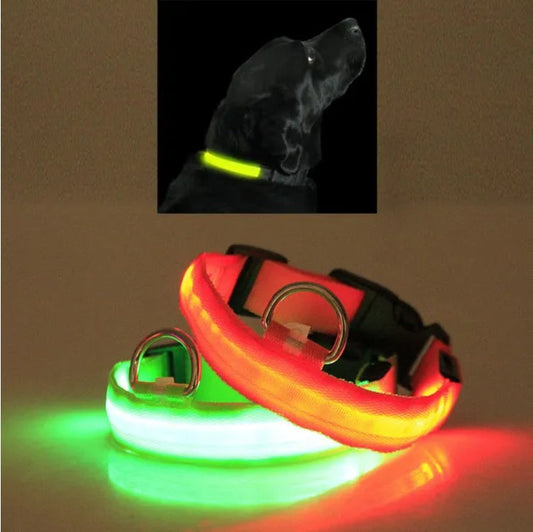 KFX-6188093 LED Safety Collar for Pets with Adjustable Sizes and Multiple Color Options