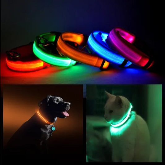 KFX-6188093 LED Safety Collar for Pets with Adjustable Sizes and Multiple Color Options