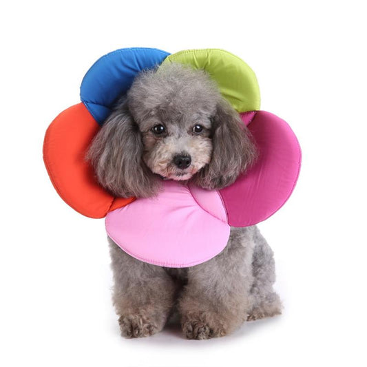 KFX-6203581 Cozy Pet Protection Collar with Plush Floral Design for Cats and Small Dogs