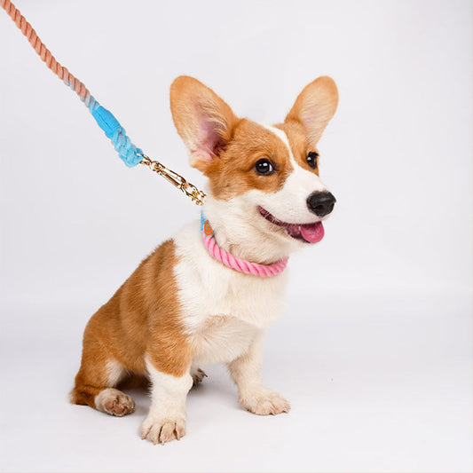 KFX-6242237 Woven Cotton Dog Leash and Collar Set in Various Colors and Sizes