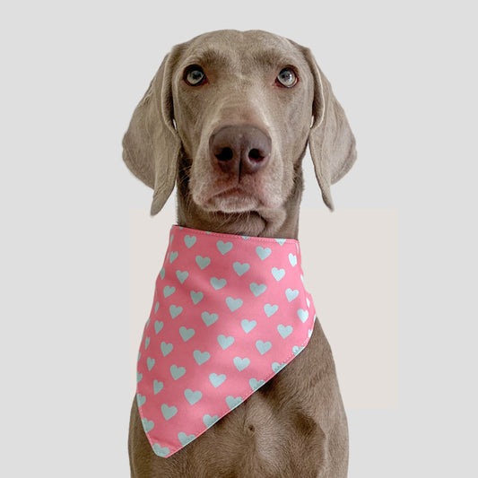 KFX-6244797 Three-Layer Thickened Waterproof Pet Scarf in Various Fun Designs