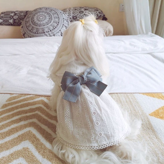 KFX-6256317 Cute Cotton Little White Dress for Pets - Princess Style Skirt in XS to XL Sizes