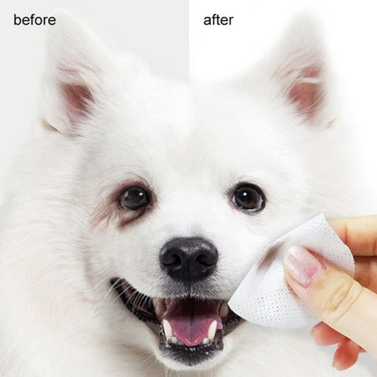 KFX-6267325 Pet Eye Cleaning Wipes, 120 Count for Removing Tear Stains and Eye Irritation
