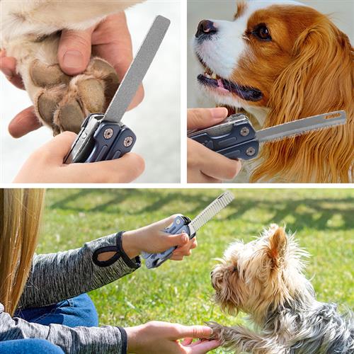 KFX-6278973 Multifunctional Pet Nail Clipper with Stainless Steel Comb