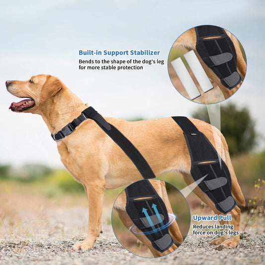 KFX-6299709 Dog Knee Pad Protective Gear for Surgical Injury - Neoprene Bandage and Collar Set