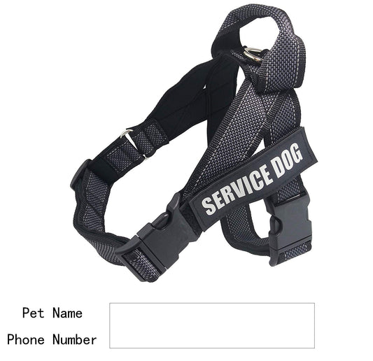 KFX-6334269 Personalized Pet Harness for Comfortable and Stylish Walks
