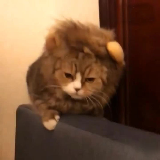 KFX-6338237 Cat Lion Head Hat Costume for Pets - Fun Dress-Up Accessory for Cats and Dogs