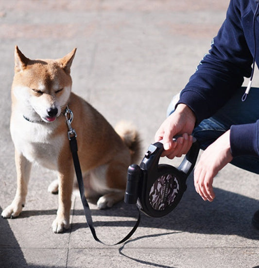 KFX-6367549 Automatic Retractable Dog Leash for Dogs Under 30kg – ABS and Nylon Construction (18.5x19x4cm)