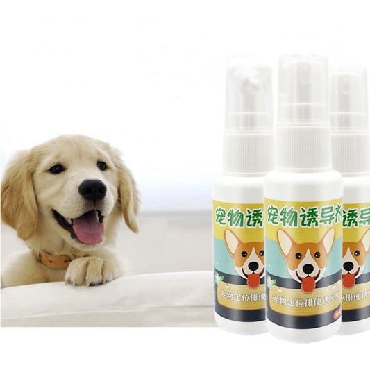 KFX-6392637 Instant Lift Support with Plant Essential Oils and Moisturizer