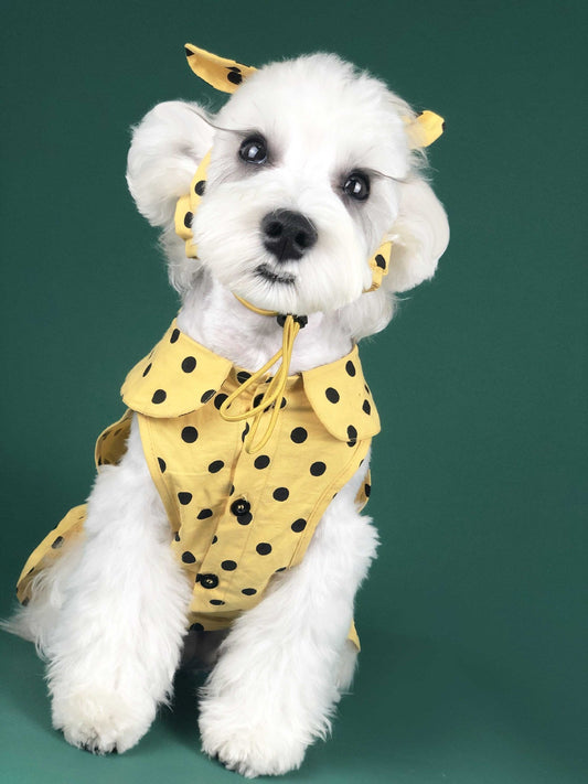KFX-6425149 Cute Summer Dress for Small Dogs and Cats - Pet Outfit for Teddy, Schnauzer, Corgi & More