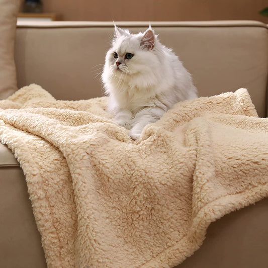KFX-6444477 Cotton Velvet Pet Blanket for Dogs – Warm, Soft, Available in Black, Beige, and Gray
