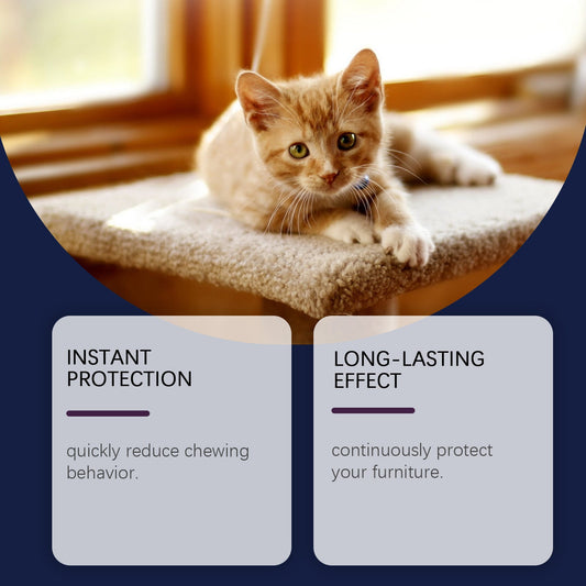 KFX-6450237 Pet Anti-Chewing Spray for Indoor Training to Prevent Biting and Scratching of Furniture, 50ml