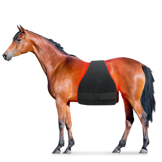 KFX-6542397 High Power Infrared Physiotherapy Pad for Horse Abdomen, Leg, and Back Relief
