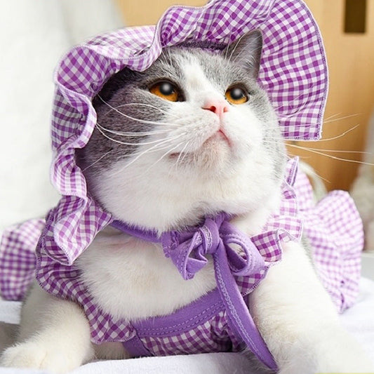 KFX-6548669 Charming Purple & Mint Green Pet Summer Vest for Cats