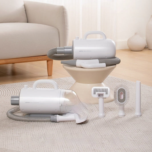 KFX-6565949 Silent Pet Dryer for Efficient Blowing and Sucking, 2000W, 220V Power
