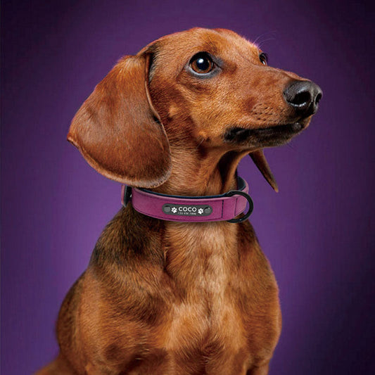 KFX-6583613 Matte Leather Anti-Lost Dog Collar in Multiple Colors and Sizes
