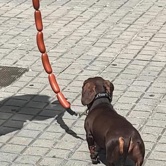 KFX-6615869 Brown Sausage Rope Toy for Dogs and Cats, 108cm Long, Durable Handheld Design