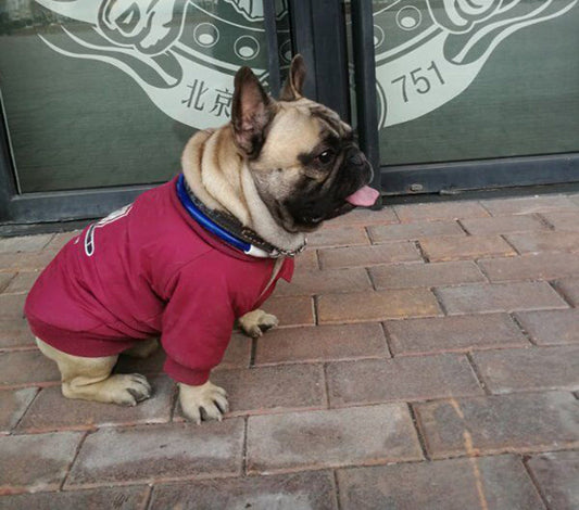 KFX-6657981 Cotton Plus Fleece Pet Sweater in Black, Red, Army Green - Casual Style with Size Options
