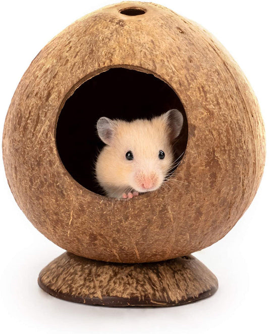 KFX-6674237 Coconut Shell Hamster Nest with Base for Small Pets and Birds