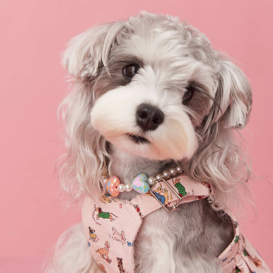 KFX-6682557 Photo Concave Dog Necklace - Beaded Pet Accessory for All Seasons, Available in S, M, L Sizes