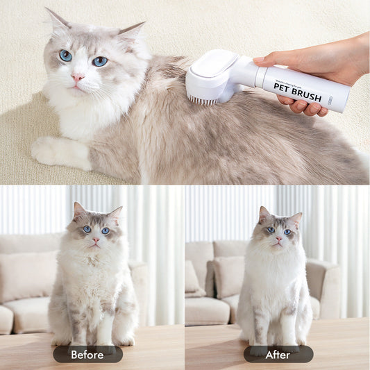 KFX-6702781 Pet Disposable Foam Lint Brush for Easy Removal of Dog and Cat Hair