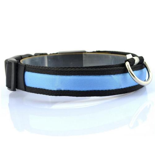 KFX-6714685 Vibrant LED Dog Collar with USB Rechargeable Battery - Multiple Colors and Sizes Available