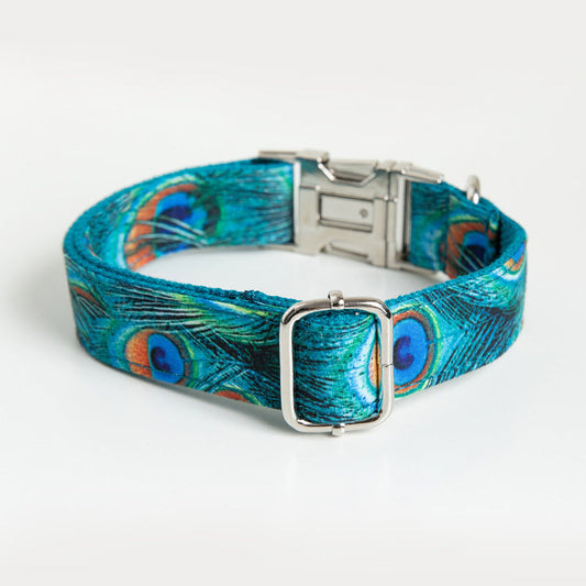 KFX-6730045 Peacock Zinc Alloy Buckle Dog Collar with Towing Rope, Available in XS to XL
