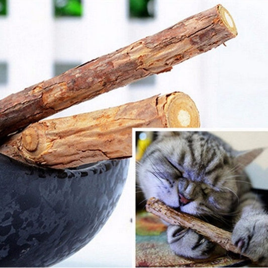 KFX-6732605 Matatabi Pet Chew Sticks for Cats – Natural Teeth Cleaners and Healthy Dental Care