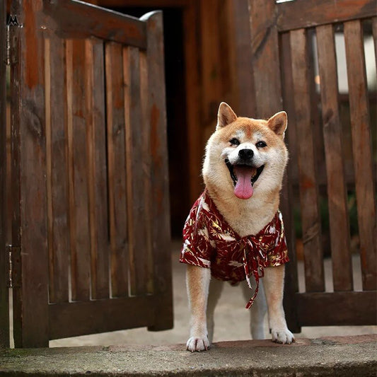KFX-6770877 Japanese Style Dog Kimono Shirt for Pets - Comfortable Summer Fashion T-Shirt in Blue and Red