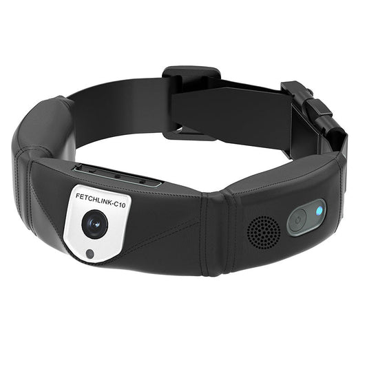 KFX-6780861 C10 Smart Pet Collar with Health Monitoring and Mobile App Control, Gray