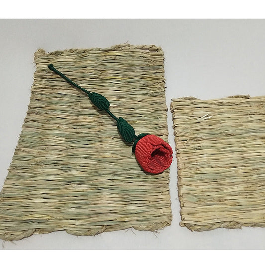 KFX-6801341 Natural Hay Mat for Rodents - Durable, Non-Toxic Straw Bed Accessory - Large & Small Sizes Available