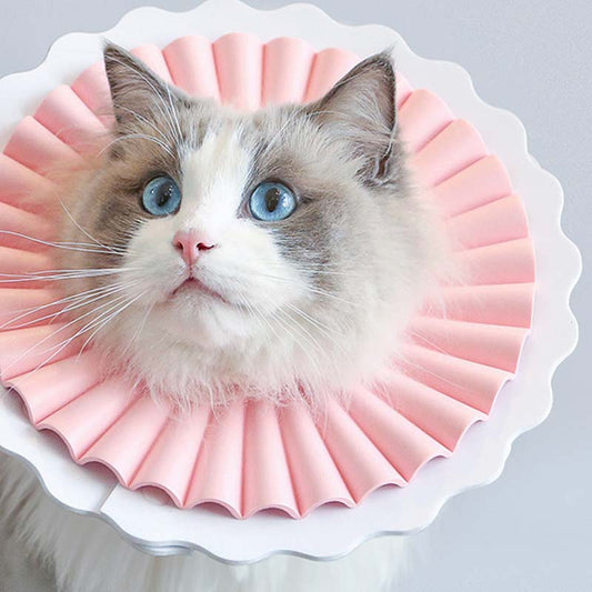 KFX-6834621 Lightweight Waterproof Cat Headgear - Adjustable Styles & Sizes for Comfort