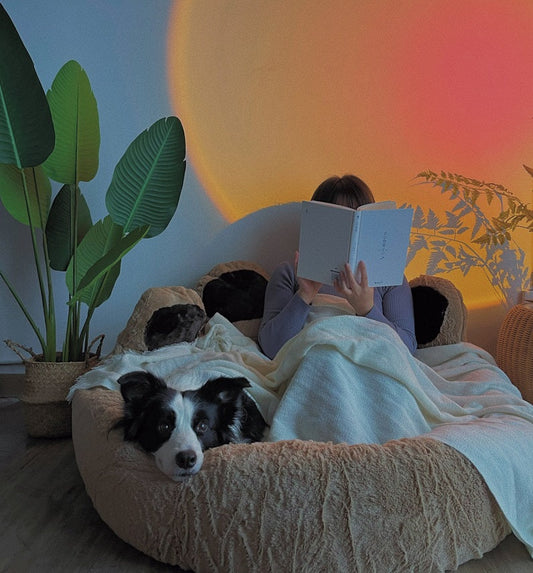 KFX-6836285 Cozy Bear's Paw Nest in Milk Tea Color - Thick PV Fleece Pet Mat with Soft PP Cotton Filling