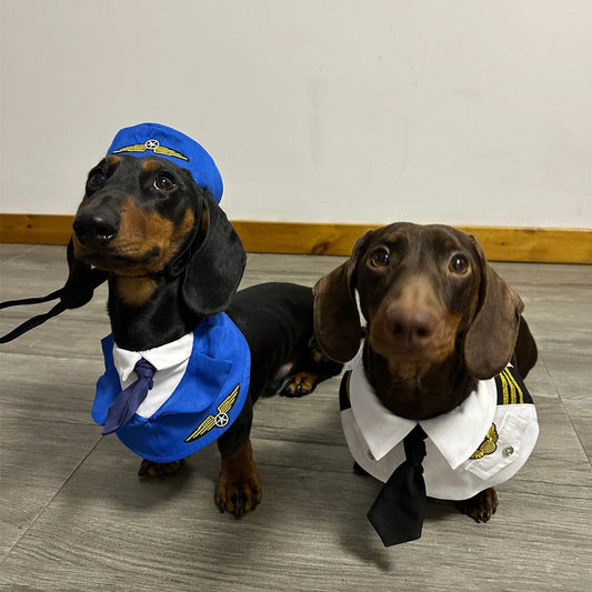 KFX-6837693 Dachshund Halloween Costume - Funny Captain & Pilot Outfits for Pets with Scarf Option