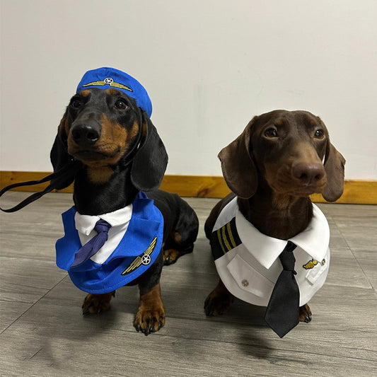KFX-6837693 Dachshund Halloween Costume - Funny Captain & Pilot Outfits for Pets with Scarf Option