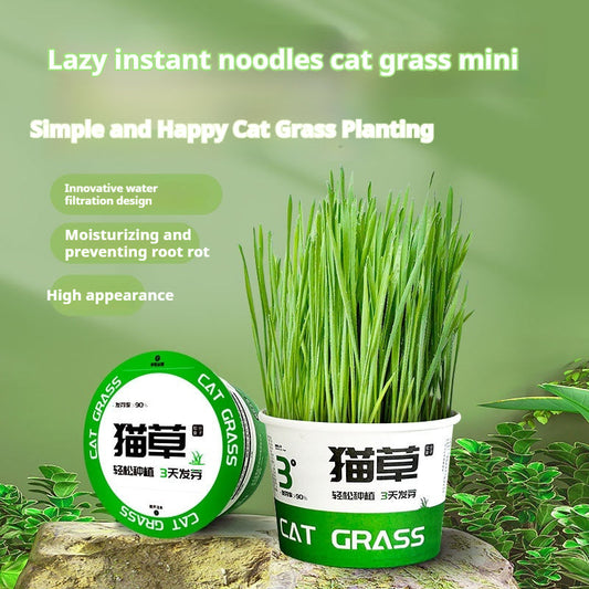 KFX-6843837 Hydroponic Cat Grass Instant Noodles - Digestive Snack with Plant Fiber and Vitamins